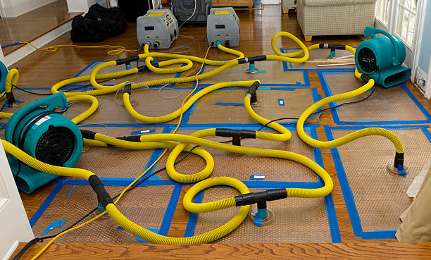 Professional Flood Damage Restoration technician working in Geneva, IN